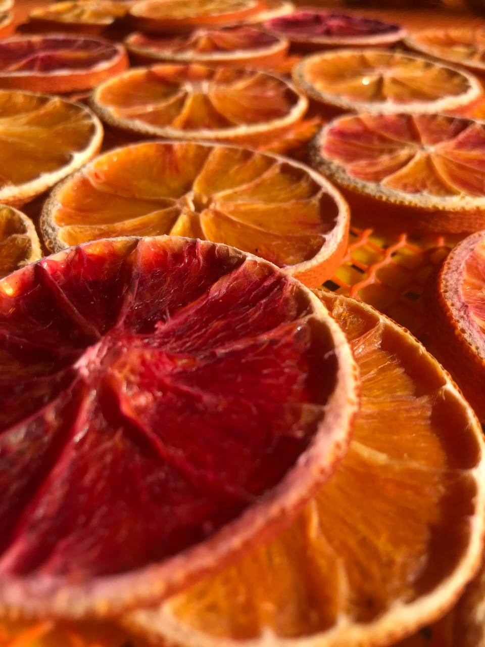 Dried Orange